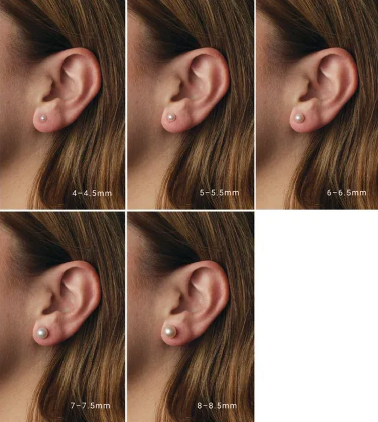 14K Yellow Gold Pearl Stud Earrings