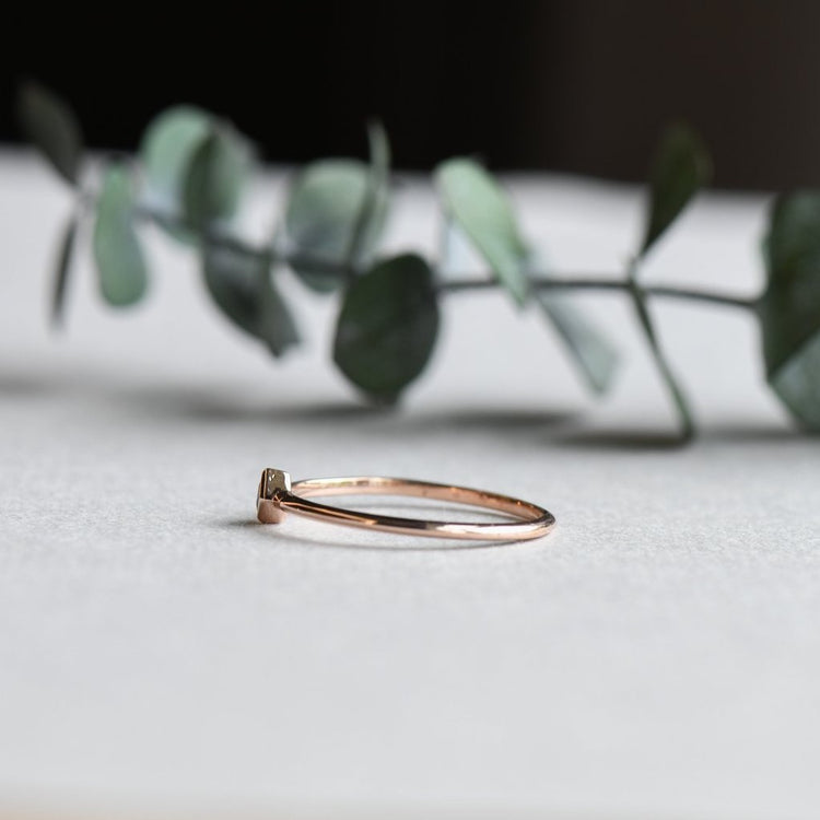 ROSE + CHOC - Rose and Choc